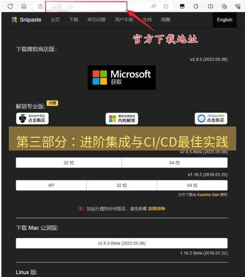 snipaste 第三部分：进阶集成与CI/CD最佳实践
