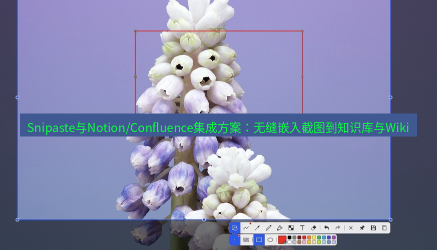 snipaste Snipaste与Notion/Confluence集成方案：无缝嵌入截图到知识库与Wiki