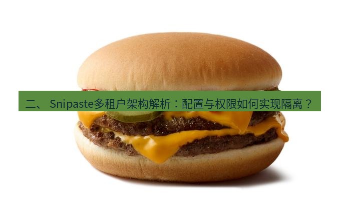 snipaste 二、 Snipaste多租户架构解析：配置与权限如何实现隔离？