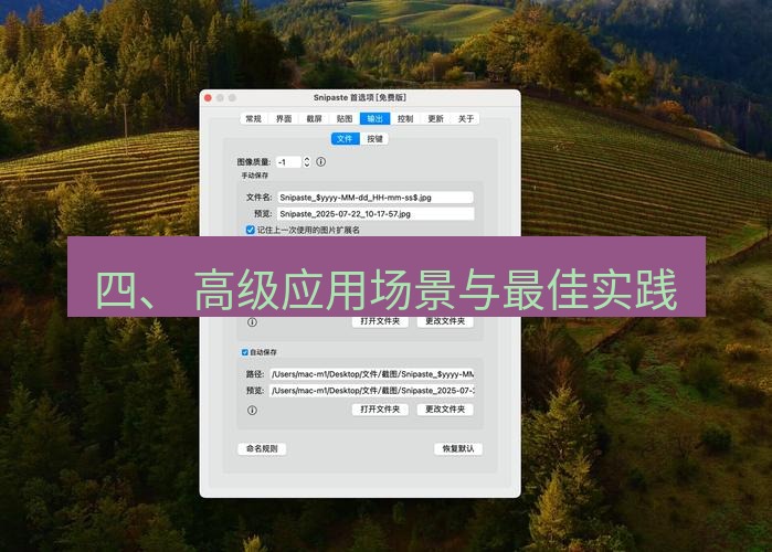 snipaste 四、 高级应用场景与最佳实践