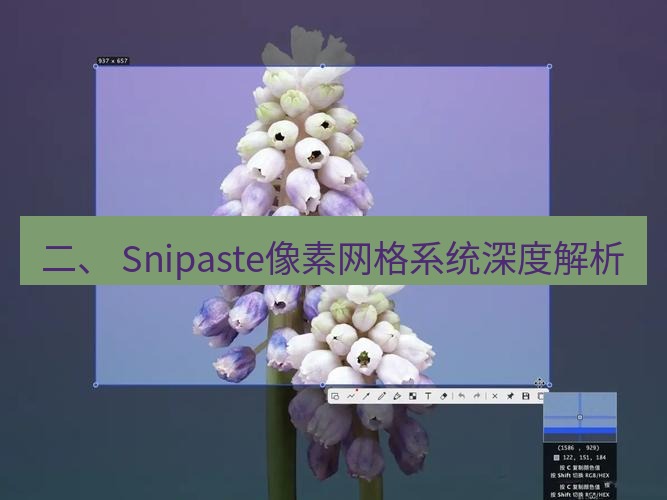 snipaste 二、 Snipaste像素网格系统深度解析