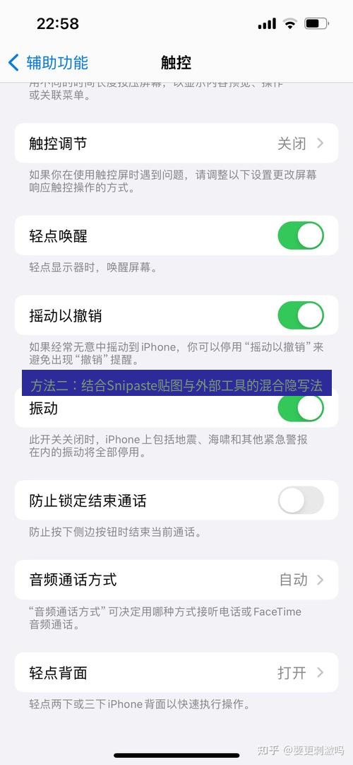 截图软件 方法二：结合Snipaste贴图与外部工具的混合隐写法