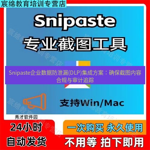 snipaste Snipaste企业数据防泄漏(DLP)集成方案：确保截图内容合规与审计追踪