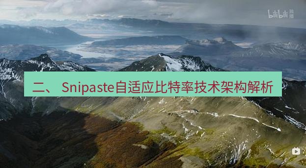 snipaste 二、 Snipaste自适应比特率技术架构解析