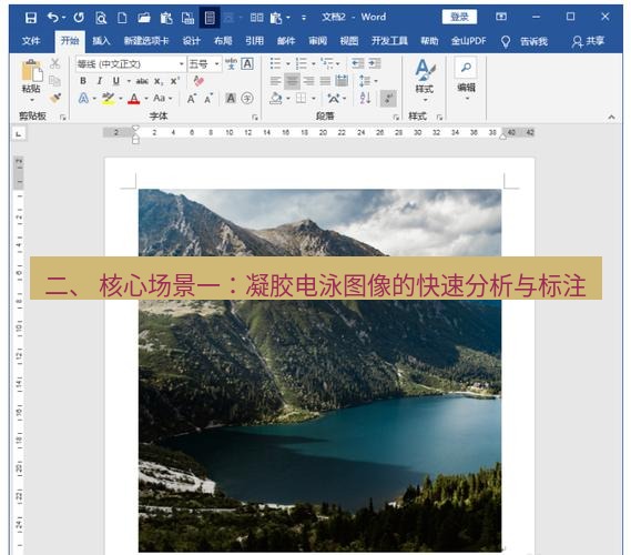 snipaste 二、 核心场景一：凝胶电泳图像的快速分析与标注