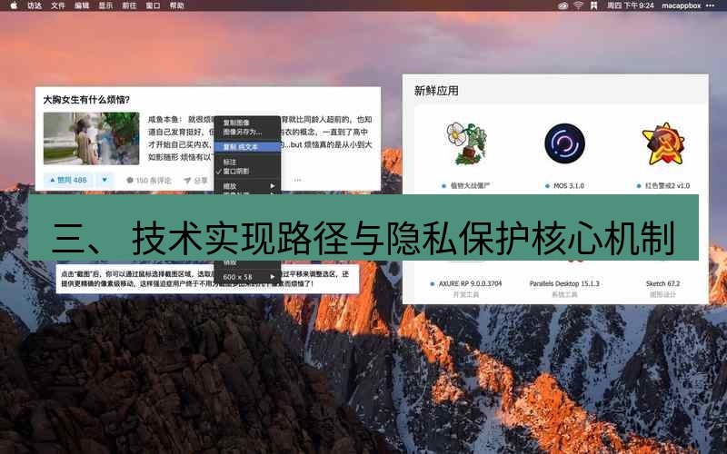 snipaste 三、 技术实现路径与隐私保护核心机制
