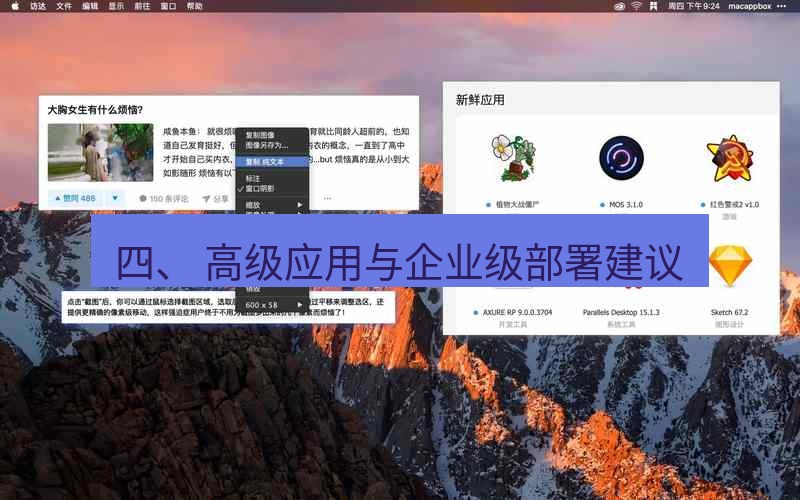snipaste 四、 高级应用与企业级部署建议
